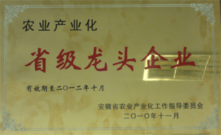 省級(jí)龍 頭企業(yè)